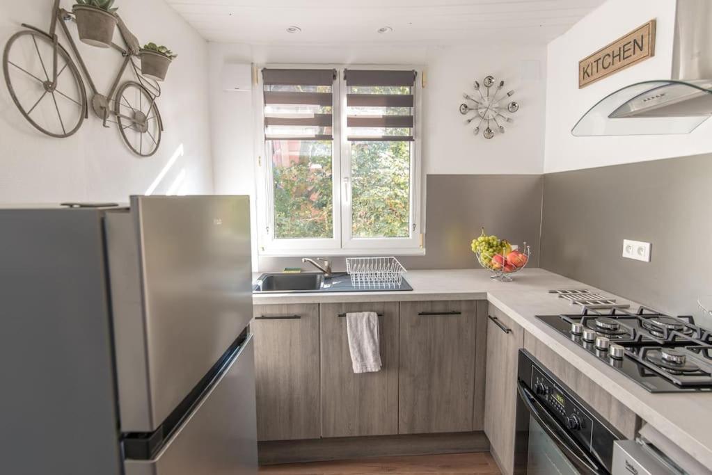Apartmán New L'Industr'Ill Au Coeur De L'Alsace Sélestat Exteriér fotografie