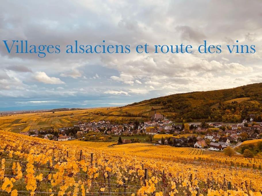 Apartmán New L'Industr'Ill Au Coeur De L'Alsace Sélestat Exteriér fotografie