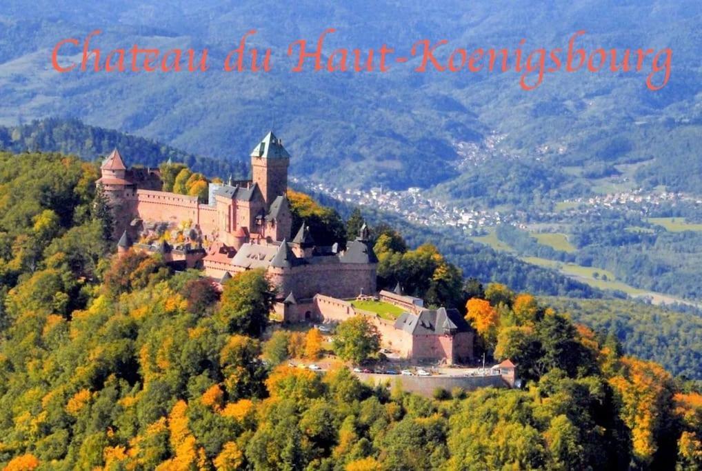 Apartmán New L'Industr'Ill Au Coeur De L'Alsace Sélestat Exteriér fotografie